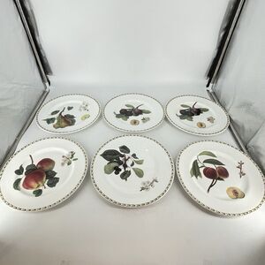 Set of 6 Queen’s Royal Horticultural Society RHS Dinner Plates 10 5/8” England